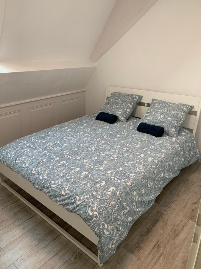 Historical Town Center Spacious Flat Colmar Luaran gambar