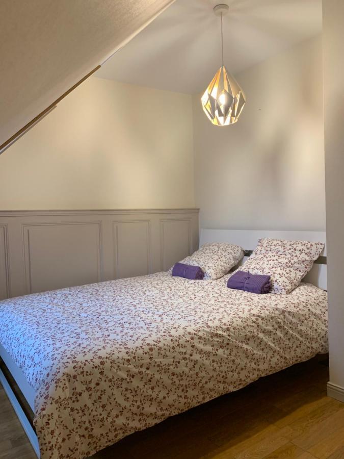 Historical Town Center Spacious Flat Colmar Luaran gambar