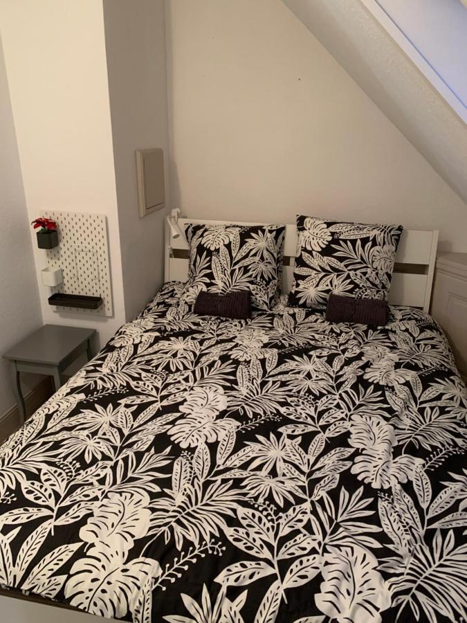 Historical Town Center Spacious Flat Colmar Luaran gambar