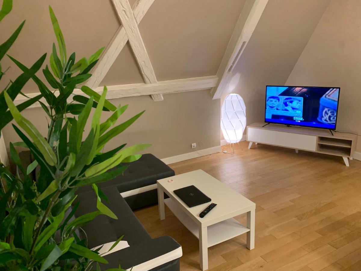 Historical Town Center Spacious Flat Colmar Luaran gambar